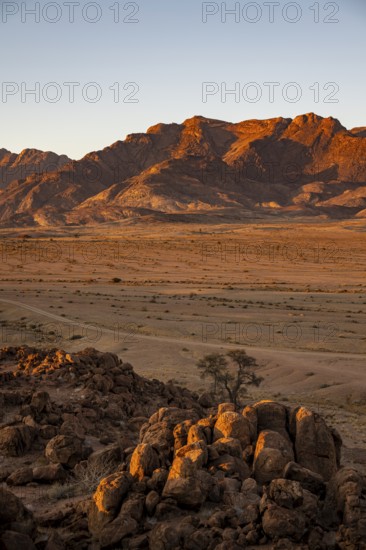 Desert landscape with Brandberg in morning light, at sunrise, Erongo, Damaraland, Namibia