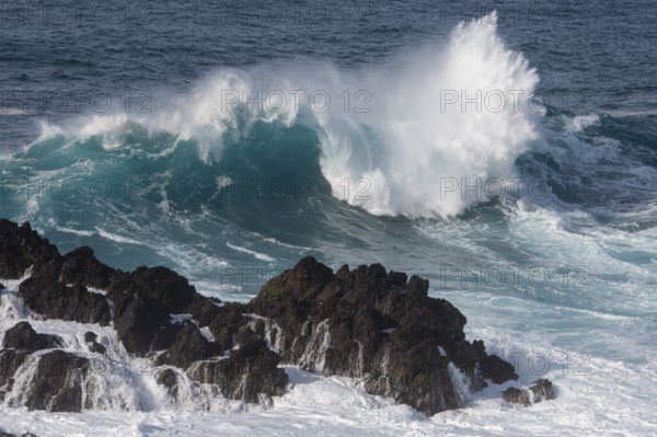 Waves on the ocean off Madeira, Porto Moniz, Madeira, Portugal