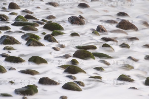 Stones in the foam of waves off Madeira, water, ocean, Jardim do Mar, Madeira, Portugal
