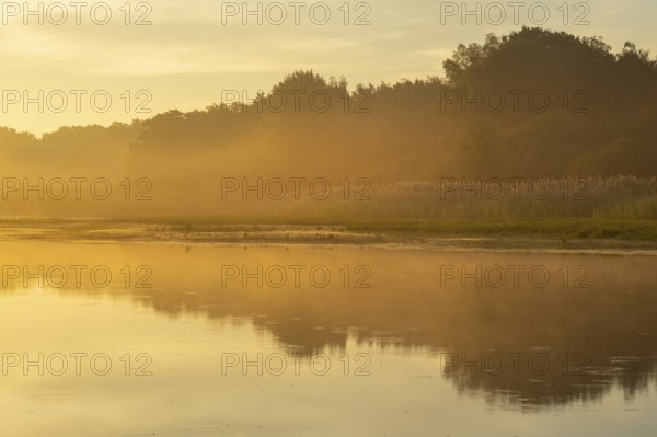 Sunrise with fog on a lake at the Ahlhoner fish ponds, Ahlhorn, Lower Saxony, Germany