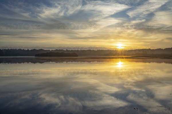 Ahlhonrer fish pond with fog at daybreak, fog, reeds, sunrise, Ahlhorn, Lower Saxony, Germany