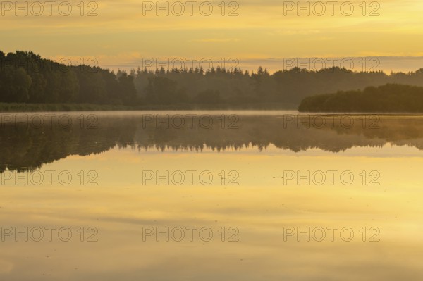 Daybreak at Ahlhoner Fischteichen, Ahlhorn, Lower Saxony, Germany