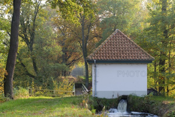 Autumn in the Ahlhorn Fish Ponds Nature Reserve of the Lower Saxony State Forests, Ahlhorn, Lower Saxony, Germany