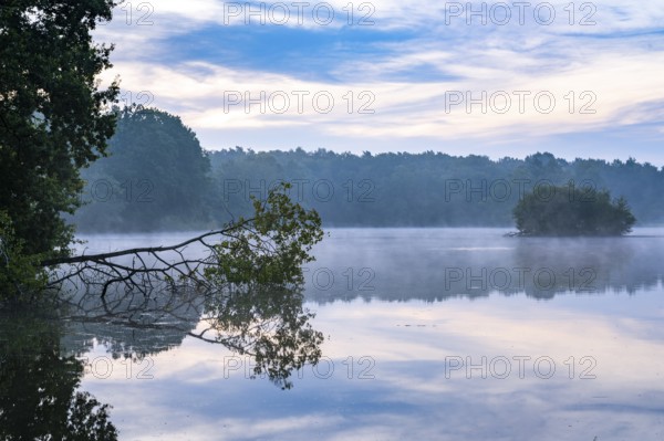 Daybreak with fog at blue hour in the Ahlhorner Fischteiche nature reserve of the Lower Saxony State Forests, Ahlhorn, Lower Saxony, Germany