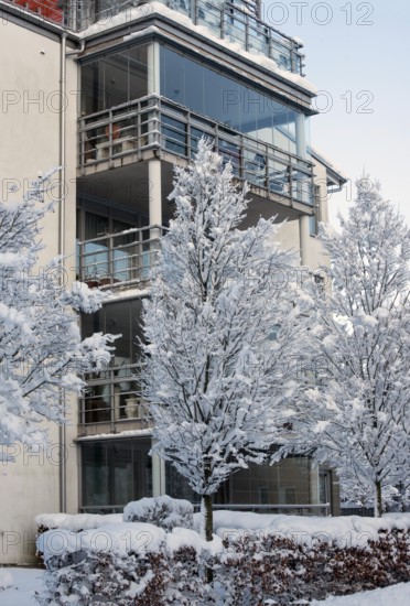 A snow-covered tree in front of an apartment buildings in Ystad, Skåne County, Sweden, Scandinavia