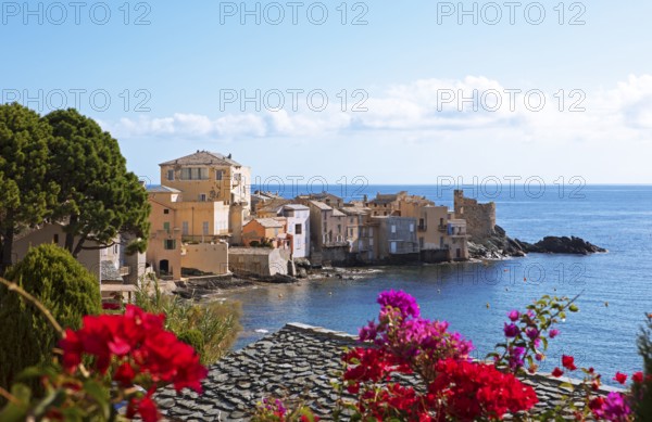 Erbalunga fishing village, Cap Corse, Haute-Corse Department, Corsica, Mediterranean Sea, France
