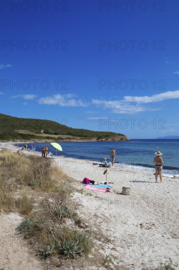 Plage de Tamarone sandy beach, Cap Corse, Haute-Corse Department, Corsica, Mediterranean Sea, France