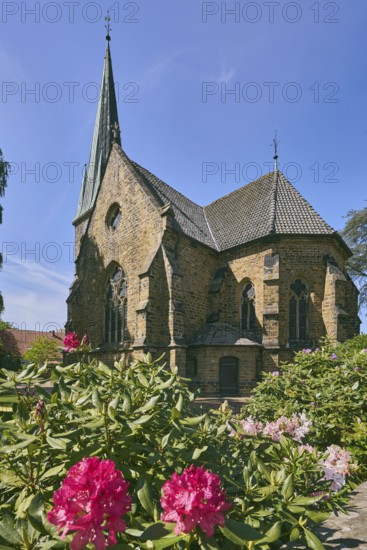 Church Apostelkirche - Evangelical-Lutheran parish Neuenkirchen-Vörden, church tower, shrub Rhododendron ponticum, blue sky, cirrus clouds, Küsterstraße, district Neuenkirchen, Neuenkirchen-Vörden, district Vechta, Lower Saxony, Germany