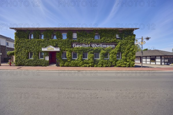Gasthof Wellmann, building, Boston ivy (Parthenocissus tricuspidata), lantern, pavement, blue sky, cirrus clouds, Osnabrücker Straße, Vörden district, Neuenkirchen-Vörden, Vechta district, Lower Saxony, Germany