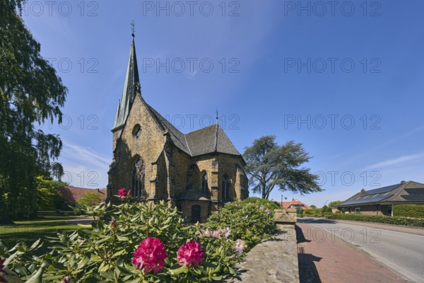 Church Apostelkirche - Evangelisch-lutherische Kirchengemeinde Neuenkirchen-Vörden, church tower, general architecture, house, sandstone wall, shrub Rhododendron ponticum, pavement, street, trees, blue sky, cirrus clouds, Küsterstraße, district Neuenkirchen, Neuenkirchen-Vörden, district Vechta, Lower Saxony, Germany