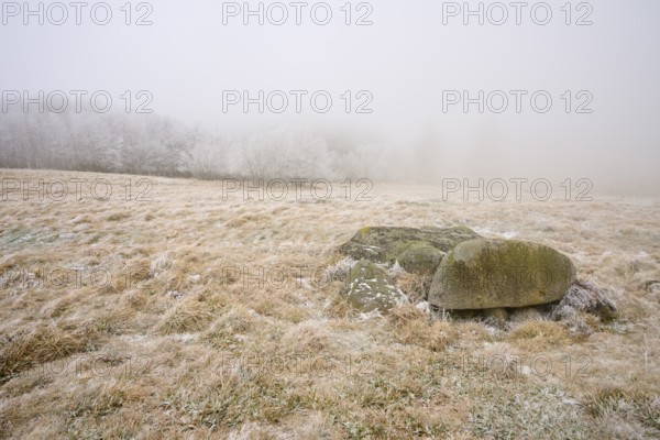 Scattered rocks on a frosty, foggy meadow, winter, Route de Cretes, Hohneck, La Bresse, Vosges, France