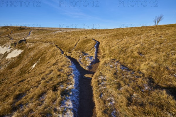 A forked path through grassy hills with blue skies and wintry atmosphere, La Gorge de Pierrel, Martinswand, Frankental, Vosges, France