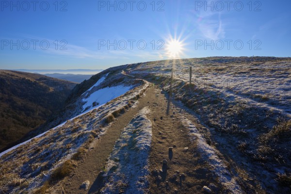 A sunny trail leads over a frosty mountain surrounded by clear air and blue skies, winter, Route de Cretes, Hohneck, La Bresse, Vosges, France