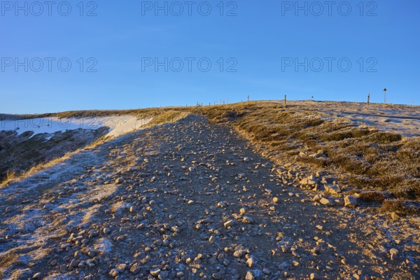 A snowy mountain trail under a clear sky with barren grasses, morning, winter, Hohneck, La Bresse, Vosges, France
