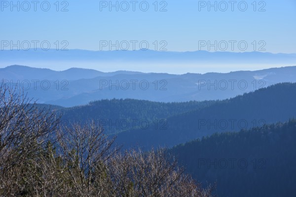 View of tiered mountain ranges with calm sky and forest, morning, view, Rhine Valley, Martinswand, Frankental, Vosges, France