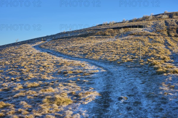 Frosty landscape with path over a hill under clear blue sky, wintery atmosphere, morning, winter, Hohneck, La Bresse, Vosges, France