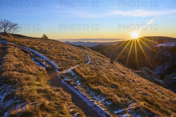 A snow-lined path through the meadow landscape in the light of sunrise, looking towards the Rhine Valley, viewpoint, La gorge de Pierrel, Martinswand, Frankental, Vosges, France