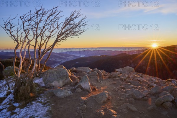 Barren terrain with trees and rocks, illuminated by the rising sun, looking towards the Rhine Valley, viewpoint, La gorge de Pierrel, Martinswand, Frankental, Vosges, France