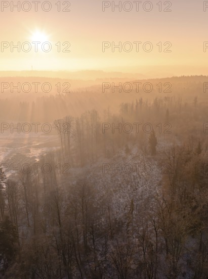 Forest landscape with trees and soft morning light fog, old deposit, construction site for PV open space plant, Lindenrain, Calw, Germany