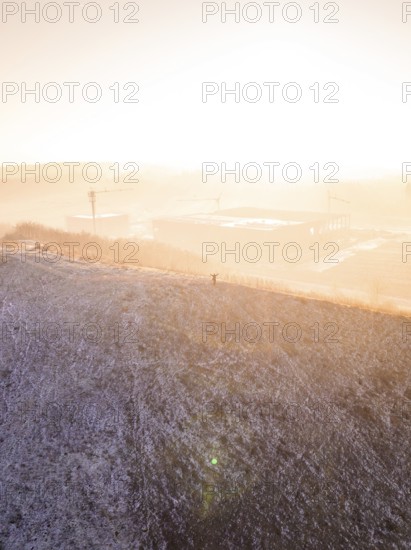 A hill in fog at sunrise, warm and cold color effects, old deposition, construction site for PV open space plant, Lindenrain, Calw, Germany