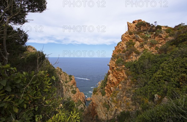Bizarre rock formations on Capo Rosso, Piana, Corse-du-Sud department, west coast, Corsica, Mediterranean, France