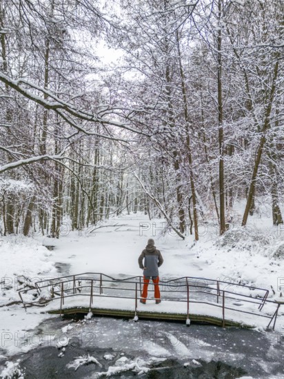 Aerial view, drone photo: Man hiking standing on a bridge over the Briese river in the forest in winter, landscape dammed by beavers, Briesetal, Barnim nature park Park, Brandenburg, Germany