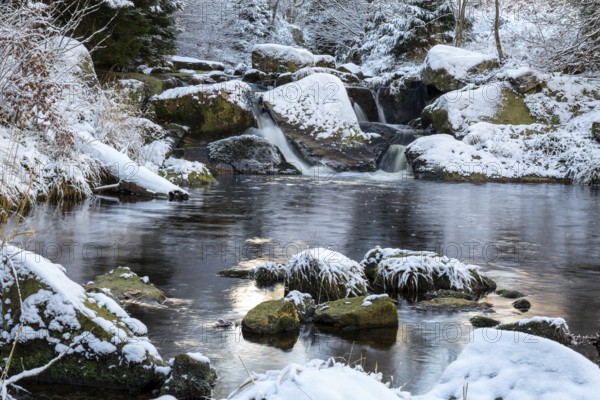 Gumpe with snow and moss-covered rocks in wintery Ilse Valley, Heinrich-Heine-Weg, Harz National Park, Saxony-Anhalt, Germany