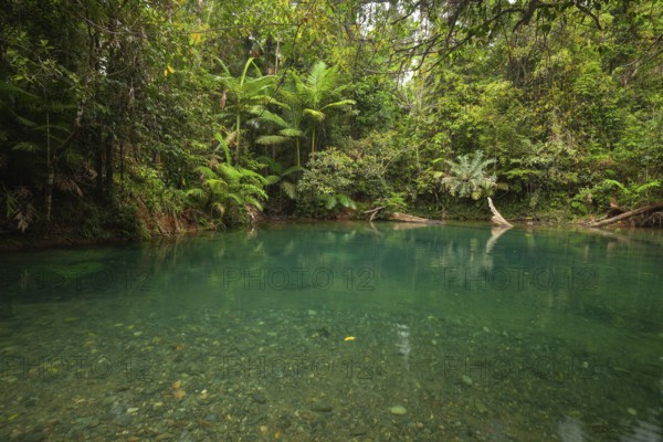 The Blue Hole, Cooper Creek, Daintree National Park, Queensland, Australia