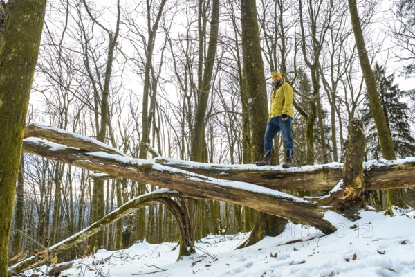 Man wearing winter clothing standing on a large fallen tree trunk covered with snow, enjoying a peaceful and adventurous hike through the tranquil forest landscape during cold weather