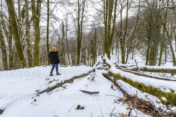 Person in warm clothing walks through a quiet snow covered forest surrounded by tall bare trees and mossy fallen trunks, capturing the calm and solitude of winter nature