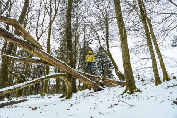 Man wearing a yellow jacket and beanie standing thoughtfully on a large fallen tree trunk in a snow covered forest during winter, enjoying the cold weather and outdoor adventure