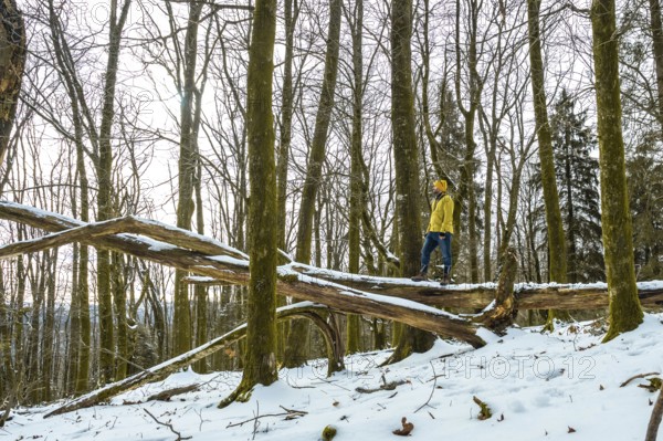 Man in yellow winter jacket standing on a snow covered fallen tree log, looking away in a serene forest, embodying themes of adventure, solitude, and connection with nature in cold weather