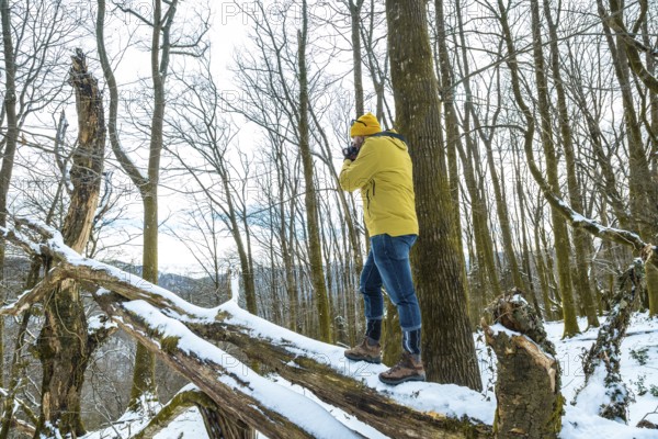 Man wearing a yellow jacket and beanie standing on a snow covered fallen tree, focusing a camera to capture the serene wintry nature and bare trees during an outdoor photography trip