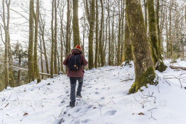 Person walking uphill through a snow covered forest with tall, mossy trees and footprints in the fresh snow, embracing the solitude and cold nature during a winter exploration