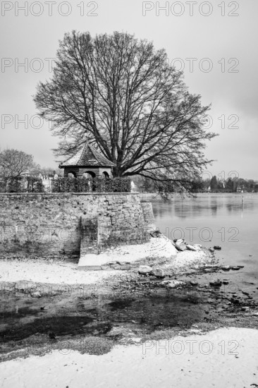 The island channel on the banks of Lake Constance, Dominican Island, black and white photography, Konstanz district, Baden-Württemberg, Germany