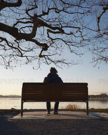 A person sits alone on a bench by the lake, surrounded by wintry bare trees and a quiet sunset, Radolfzell am Lake Constance, Konstanz district, Baden-Württemberg, Germany