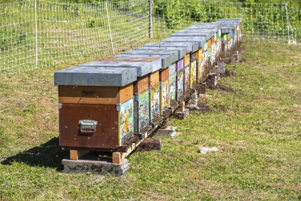 Beehive in a meadow, Italy