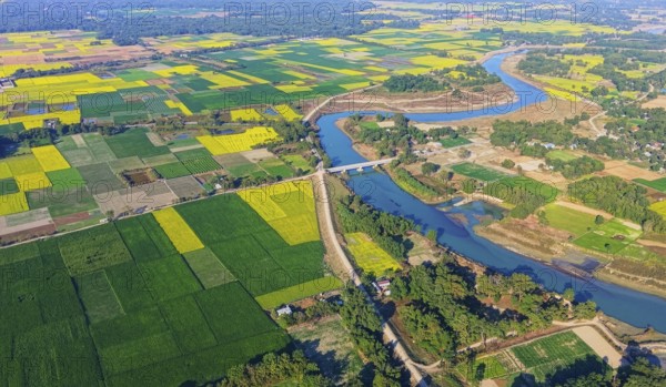 An aerial view reveals a gently curving river winding through the countryside, its silvery surface tracing a natural boundary between fields. On both banks, patchwork farmland stretches outward in neat, geometric plots, where mustard crops are in full bloom, creating broad swathes of bright yellow that contrast with surrounding greens and earthy browns. Narrow dirt paths and irrigation channels divide the fields, reflecting traditional agricultural patterns shaped by the river's seasonal flow. Scattered trees and small rural settlements dot the landscape, adding scale and context, while the overall scene highlights the harmony between the river, fertile soil, and winter agriculture in rural India