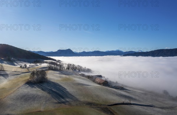 Drone view, agricultural landscape with farm in autumnal morning fog, inversion weather, Mondseeland, Salzkammergut, Upper Austria, Austria