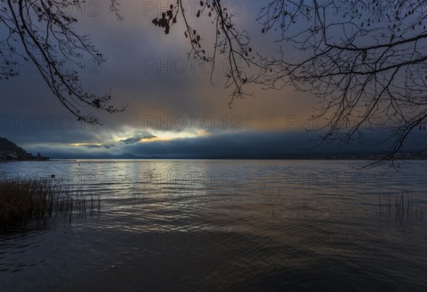 Quiet morning atmosphere at sunrise on a lake with reeds in the foreground, Mondsee, Salzkammergut, Upper Austria, Austria