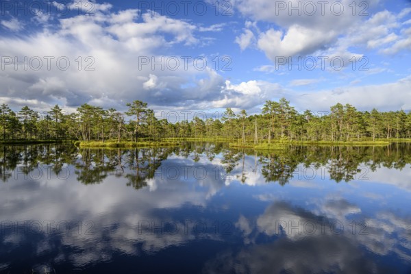 A clear moor lake with tree reflection under a cloudy sky, Hällefors, Örebro län, Sweden