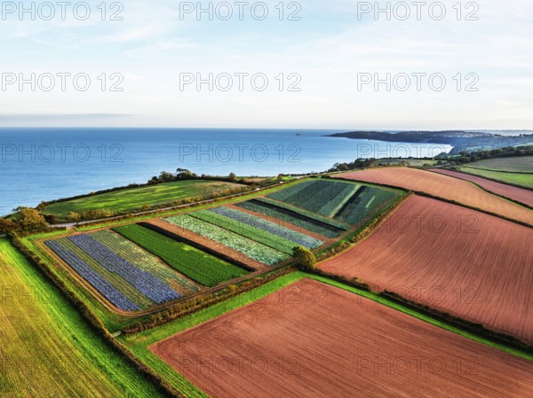 Colours of autumn Fields and Farms over Sheldon from a drone, Torbay, Devon, England, United Kingdom