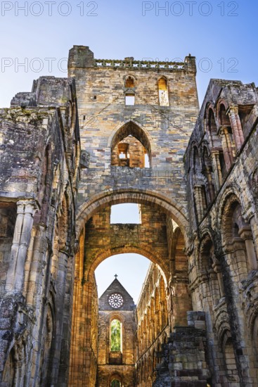 Jedburgh Abbey, Augustinian Abbey, Jedburgh, Scottish Borders, Scotland, UK