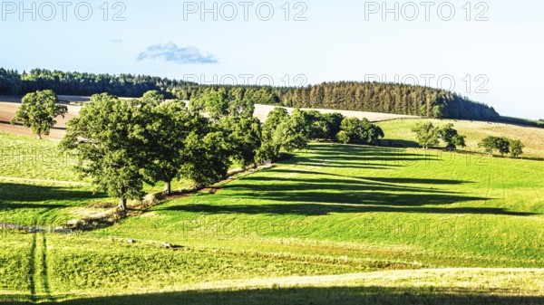 Scottish fields and farms, Southeast Scotland, UK