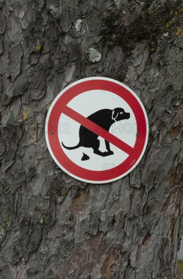 Issoire. Pillar (The Annunciation made to Mary) . The figures are illuminated by colorful light shining through a stained glass window inside Saint Austremoine Abbey, Puy de Dome, Auvergne Rhone Alpes, France