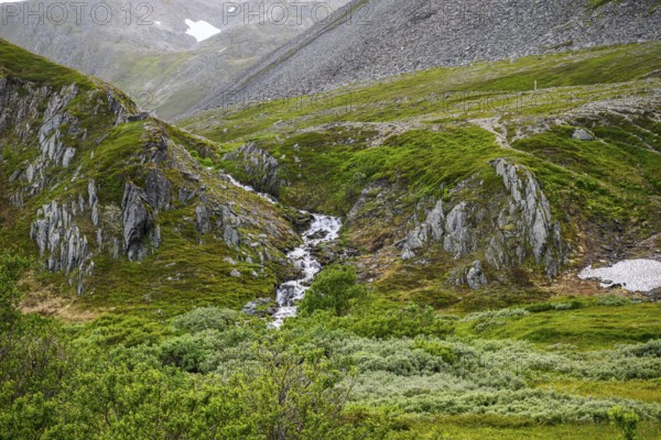 Highlands with a small waterfall and lush vegetation between rocky slopes, Berlevåg, Finnmark, Norway