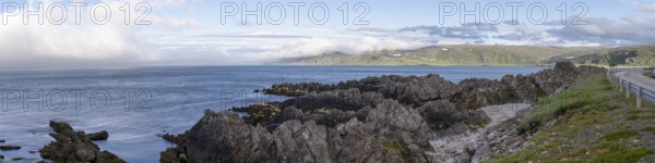 Atmospheric coastal landscape with cloudy sky over a vast sea on the coastal road in the north of the Varanger Peninsula with shags (Gulosus aristotelis) sitting on the rocky shore, Berlevåg, Finnmark, Norway