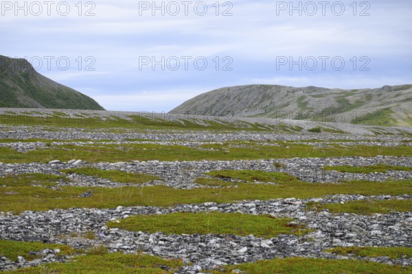 Old beach walls with a mix of grass and rocks under a cloudy sky, Store Molvik, Berlevåg, Finnmark, Norway