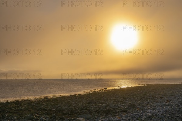 Dramatic sunset over a rocky stretch of coast with soft light, golden sky reflected in the sea, Båtsfjord, Finnmark, Norway