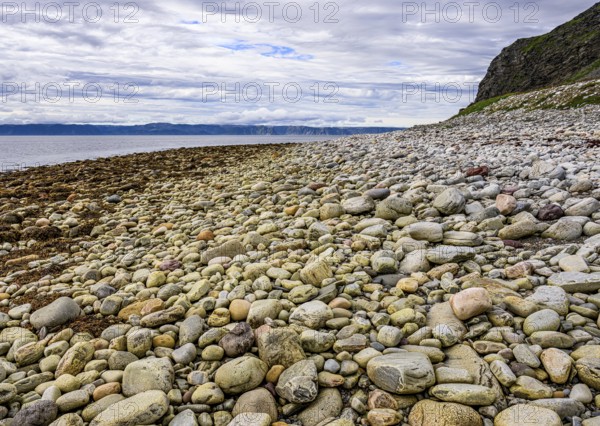 Beach with pebbles and rocks along the coast under slightly cloudy skyStore Molvik, Berlevåg, Finnmark, Norway